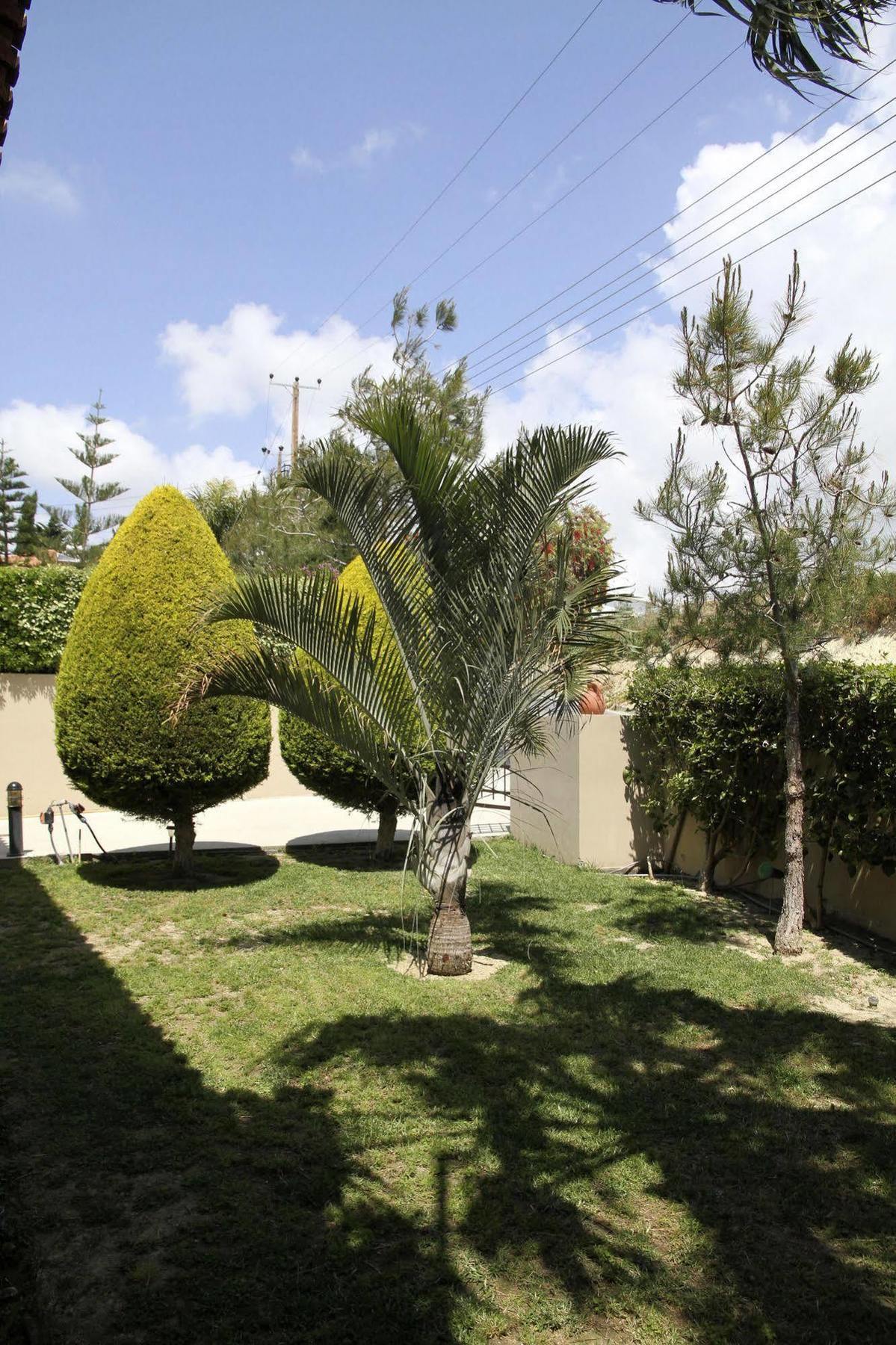 Eve Pissouri Xιnisteri Villa Exteriör bild